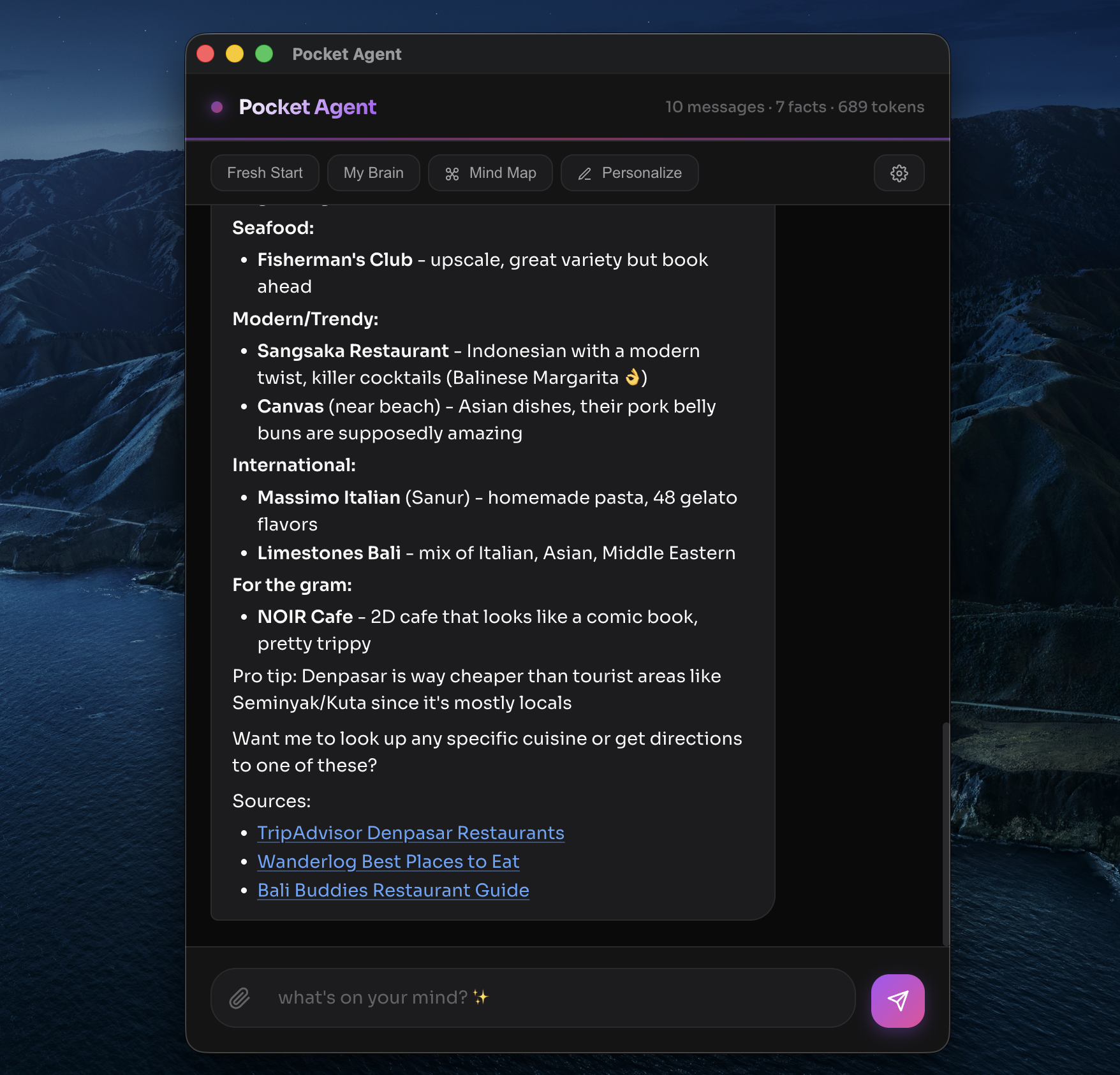 Pocket Agent chat interface